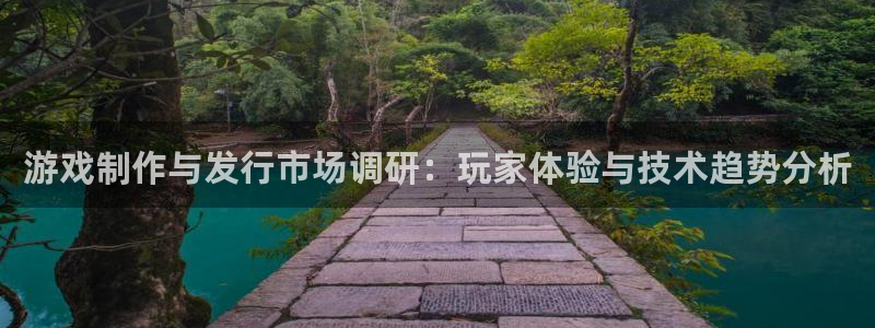 完美电竞官网子代表什么意思