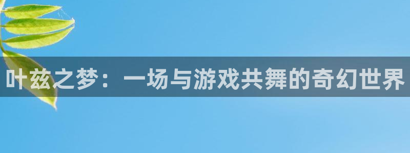 完美电竞官网子猫图片