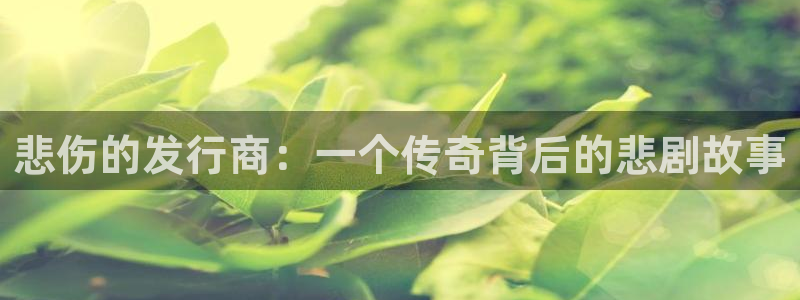 完美电竞注册平台怎么注册不了：悲伤的发行商：一个传奇背后的悲剧故事