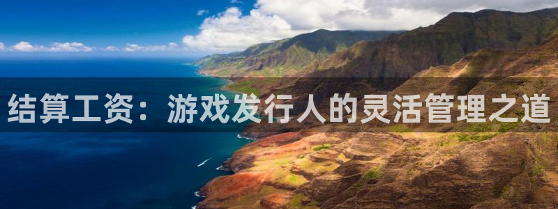 完美电竞官网是什么品牌：结算工资：游戏发行人的灵活管理之道