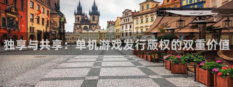 完美电竞登录注册账号安全吗可靠吗：独享与共享：单机游戏发行版权的双重价值