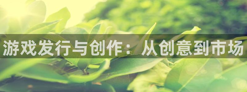 陕西完美电竞官网子文化公司有什么游戏