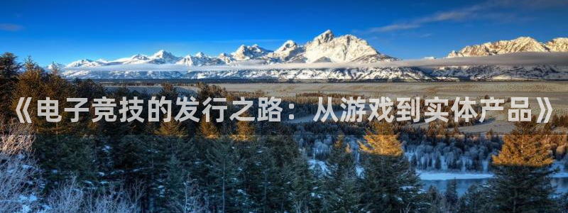 完美电竞平台代理开号流程