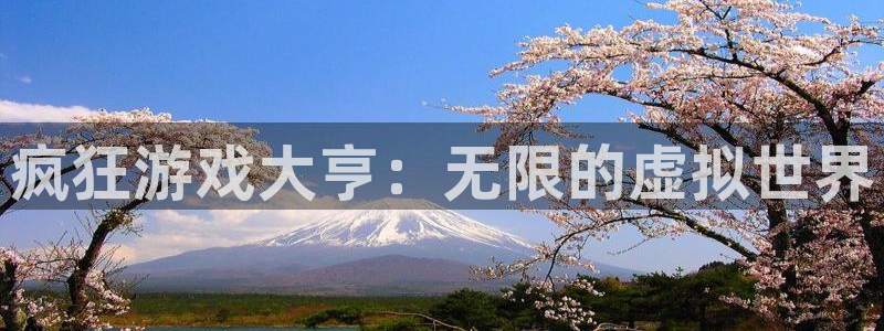 深圳完美电竞官网电商