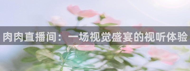 919体育直播：肉肉直播间：一场视觉盛宴的视听体验