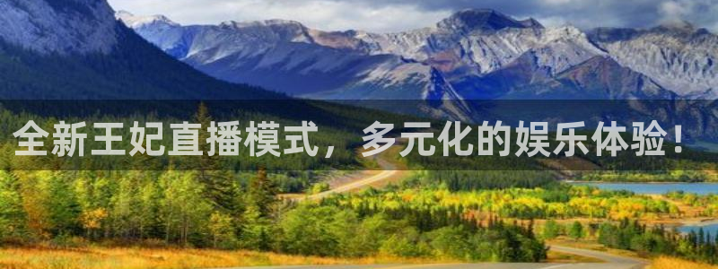 919nba直播篮球比赛：全新王妃直播模式，多元化的娱乐体验！