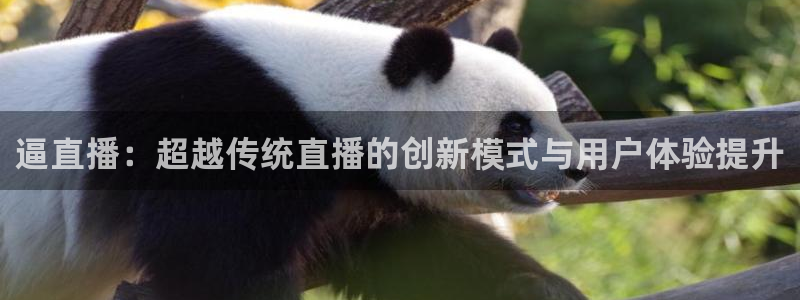nba直播919：逼直播：超越传统直播的创新模式与用户体验提升