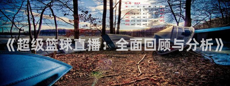 919直播平台：《超级篮球直播：全面回顾与分析》