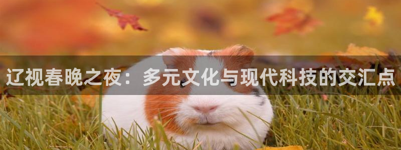 919球赛直播：辽视春晚之夜：多元文化与现代科技的交汇点