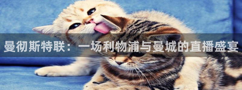 919nba直播篮球比赛：曼彻斯特联：一场利物浦与曼城的直播盛宴